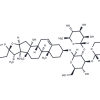 Cixiophiopogon A