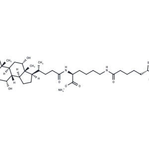 Cholyl-Lys-Biotin (amminlum)