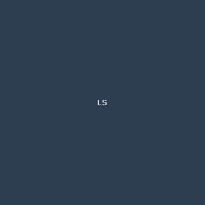 Livv Store logo